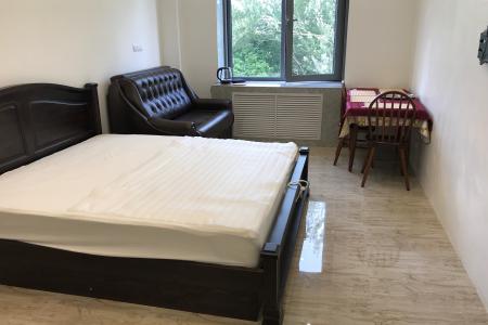 DZirconia Elagin Island Apartment квартира в парке с видом