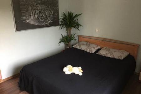 1-комн. за Ледовым Дворцом