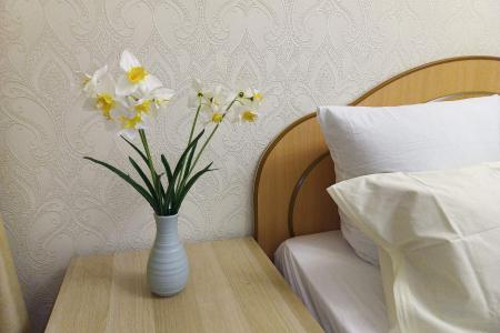 двушка в центре до 6 чел