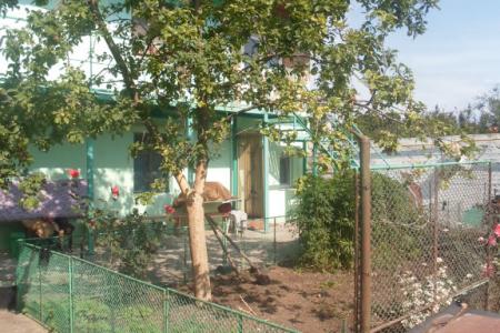 Уютные гостевые номера у моря