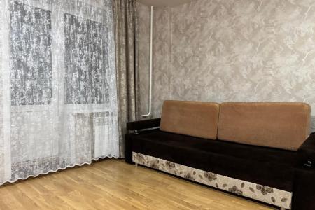 Однокомнатная квартира в центре: 15 минут от Вокзала, 10 мин. до Филармонии