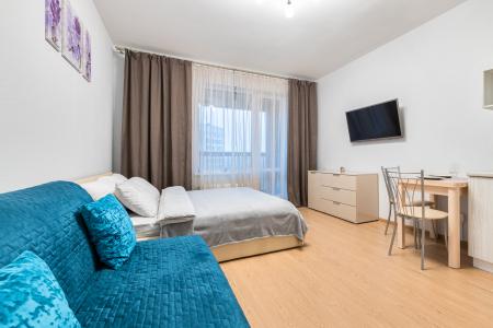 Студия, рядом: МПК-прогноз, Экспофорум, Аэропорт, Авиагородок