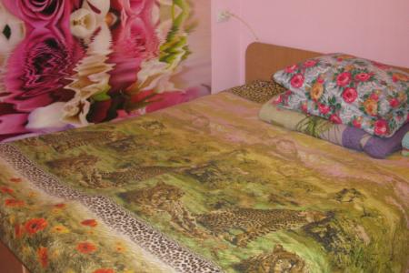 Двухкомнатная квартира возле ЖД-вокзала, ФСК Рылеева,2