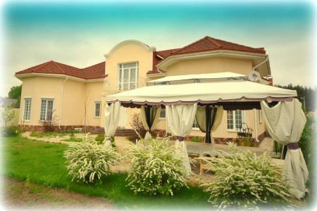 Берёзовый мостик