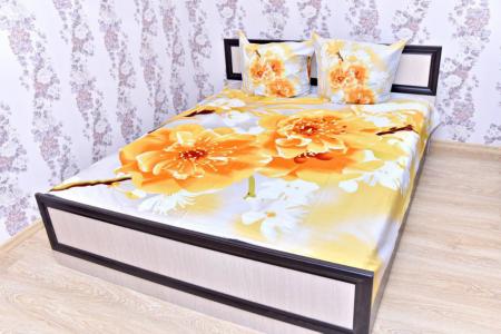 1комн. в самом центре ст.м. Академия Наук