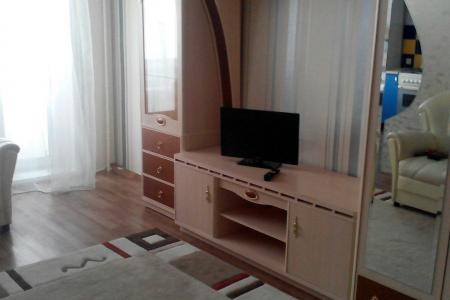 1-комнатная квартира на Бортникова, 8