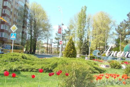 На море как дома!