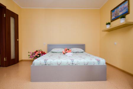 Однокомнатная квартира ЛЮКС посуточно и по часам