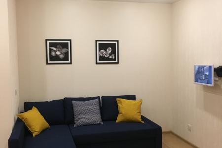 Видовая студия в новом доме. М. Выборгская