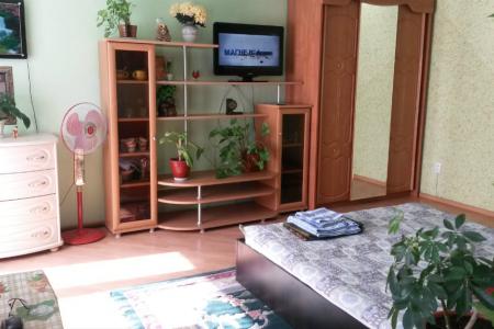 1-комнатная квартира в центре