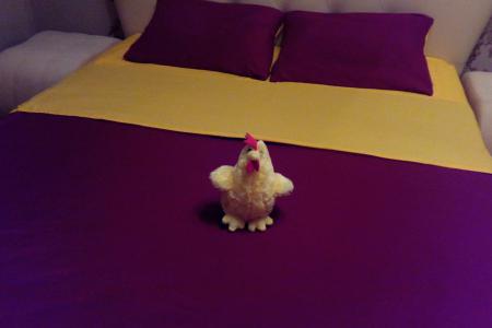 1-комнатная квартира в Ленинградском мкр