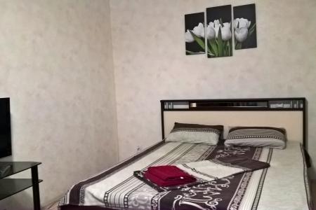 Однокомнатная квартира возле ТЦ Гудвин,ТЦ Магелан