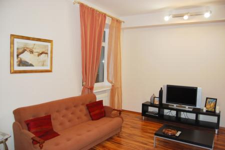 Однокомнатная квартира в центре города