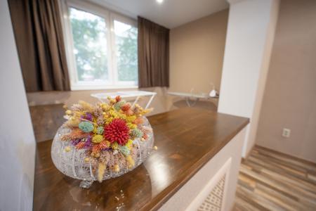 Двухкомнатная квартира в центре