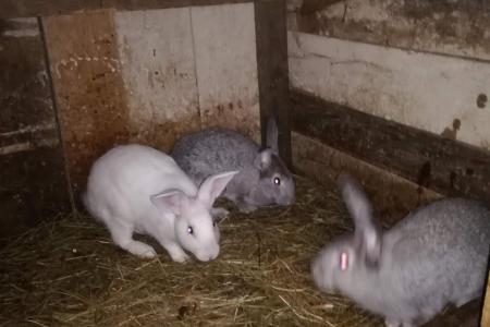 Дача для всех любителей отдохнуть и оторваться на природе