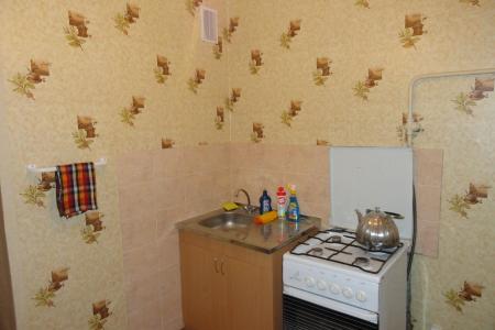 Небольшая, но очень уютная квартира у ТЦ Вавилон.