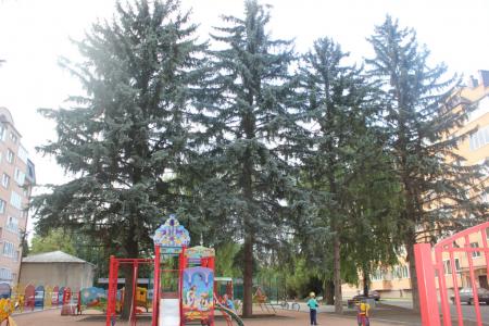 Квартира студия, идеально чисто!