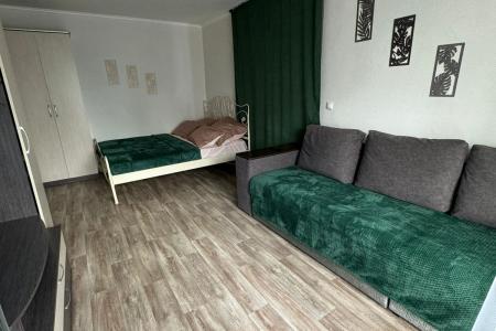 комфортная однокомнатная квартира