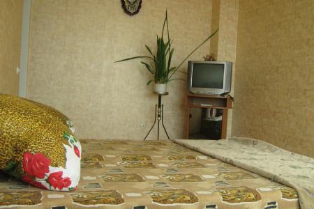 1-комнатная квартира на Античном, 11