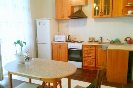 Уютная студия в элитном доме посуточно (50 кв.м)