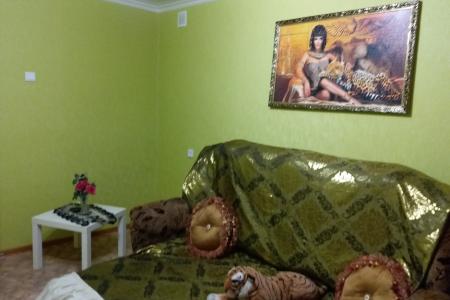 Сдается уютная квартира в центре города. Всегда чистое постельное белье. Уборка производится каждый.