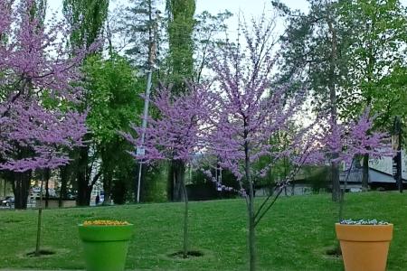 Просторный дом у Нацпарка: свой двор, 2 санузла, рядом озеро и центр