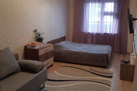 Однокомнатная квартира возле леса