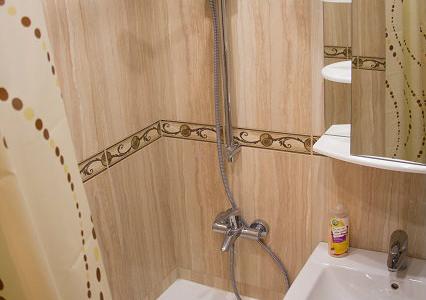 Апартаменты с евро ремонтов на Красноармейском проспекте