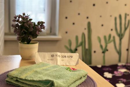 Сдаётся студия у станции Кучино.