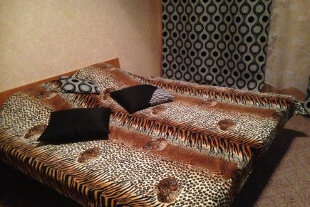 Однокомнатная квартира посуточно в центре города.