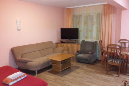 Уютная студия с хорошим ремонтом на сутки в центре