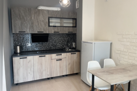 Просторная и светлая квартира в центре Екатеринбурга