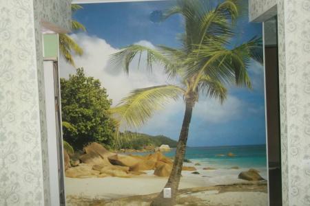 сдам 1 кв.посуточно c евро ремонтом, на Соде.