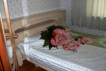 Отличная Двушка на пр.Просвещения посуточно