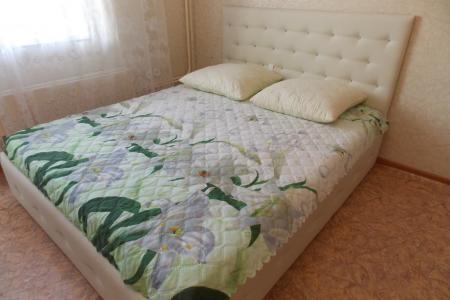 1-комнатная, ТРК "Алмаз", ООО "Конар"