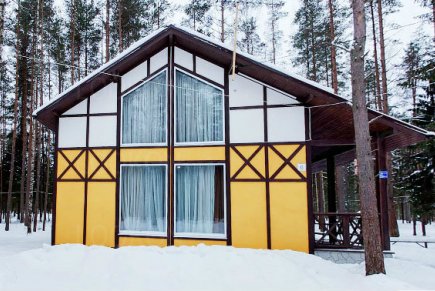 Коттедж с баней на берегу Невы