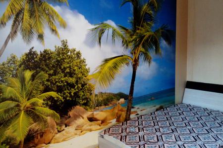 Уютная и красивая студия с красивым видом на сосовый бор.