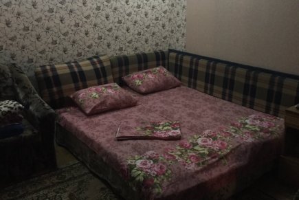 Номер посуточно в центре