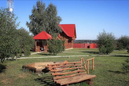 дом в стиле Русской избы