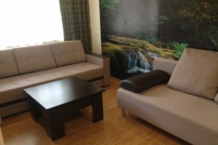 2-ка с евроремонтом в цетре