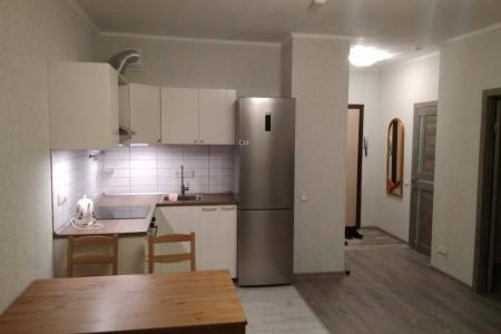 Уютные однокомнатные апартаменты