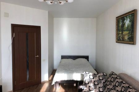 Однокомнатная квартира с видом на лес Мира 67