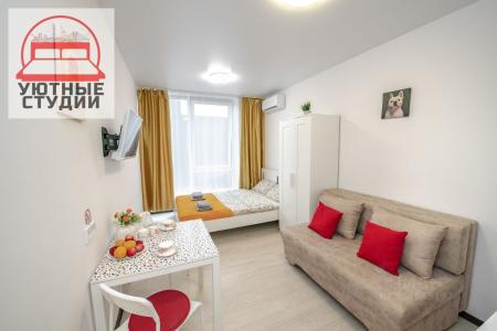 Современная мини-студия со всеми удобствами для современного человека - ждет своих гостей