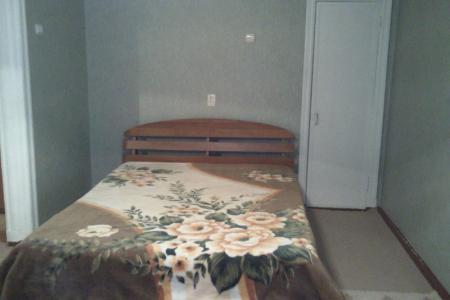 1-комнатная квартира посуточно