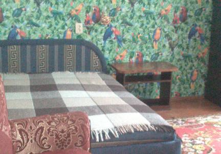 Двухкомнатная квартира в Новом Петергофе.