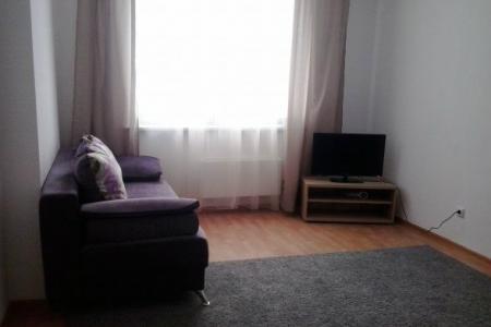 Однокомнатная квартира в центре города