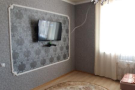 Ессентуки, курортная зона,  сдается 1-комнатная квартира с новым ремонтом посуточно , ул. Нелюбина 2