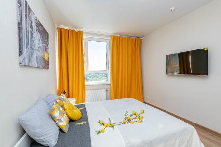 Трехкомнатная квартира у Столицы