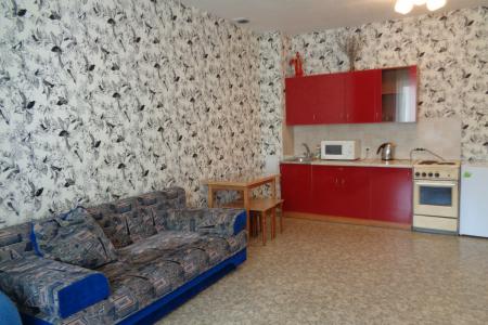 однокомнатная квартира возле Политеха