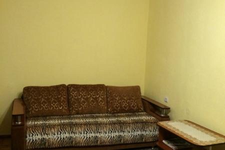 Двухкомнатная квартира возле Колоннады